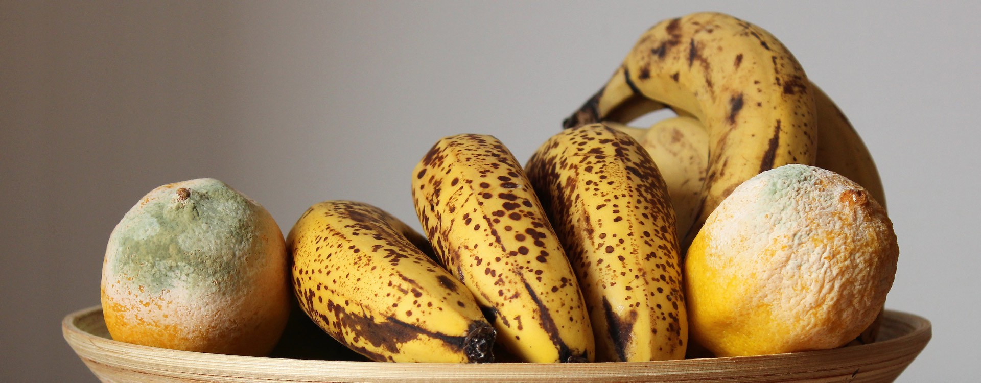 Effect of essential oils on the in vitro growth of penicillium digitatum and penicillium italicum infecting citrus and colletotrichum musea infecting banana