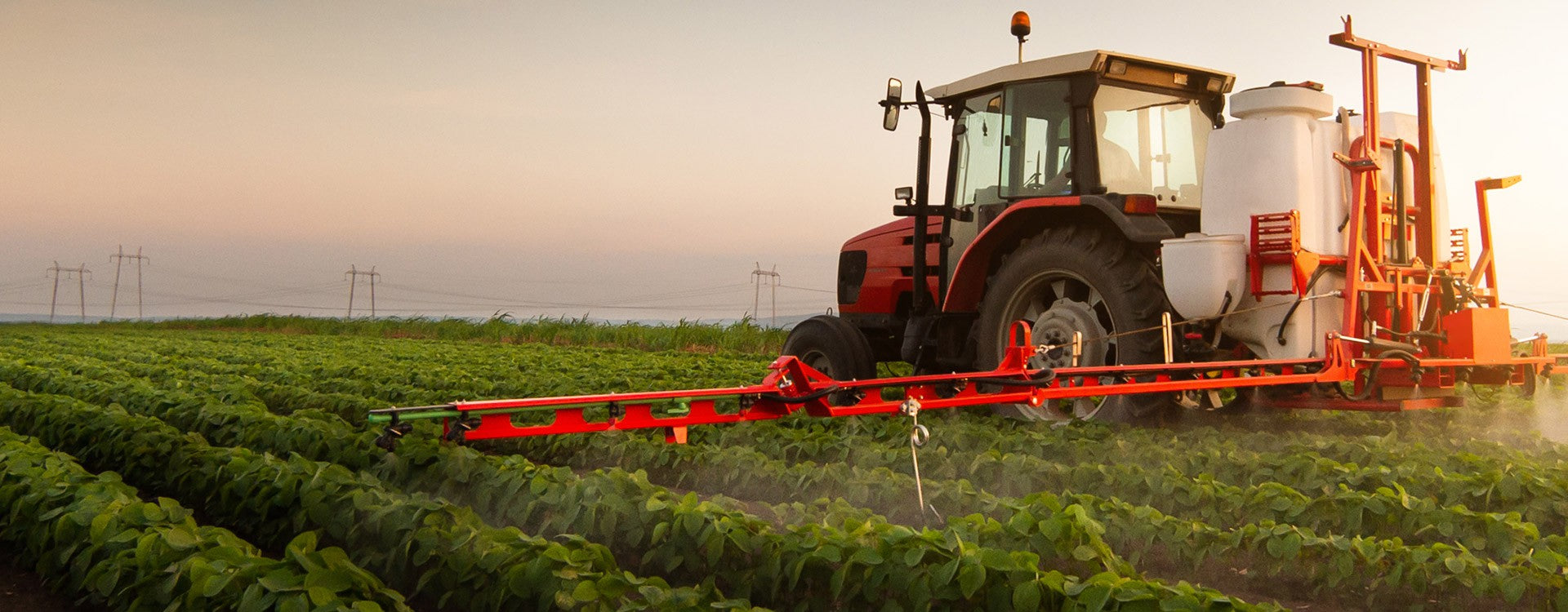 Screening of antifungal and antibacterial activity of 90 commercial essential oils against 10 pathogens of agronomical importance