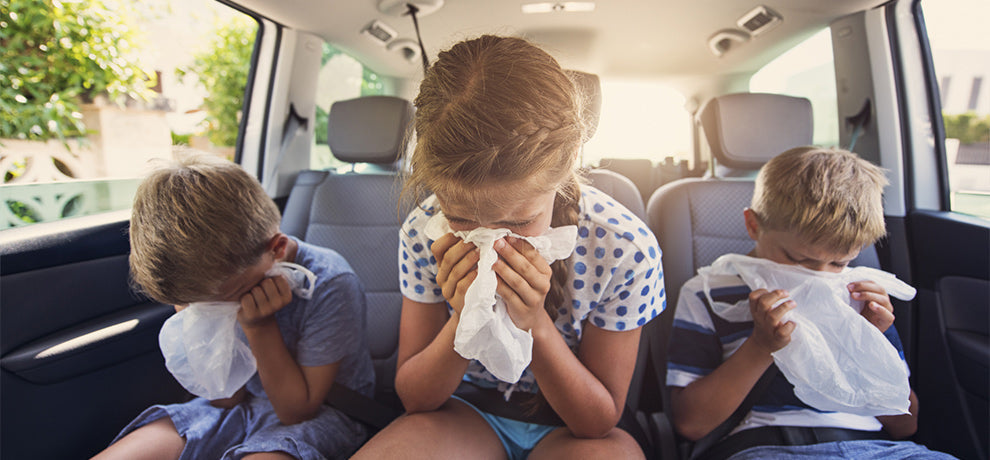 Huile essentielle mal des transports : solutions naturelles efficaces