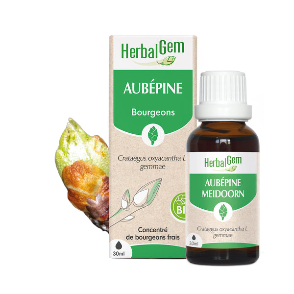 030153-fr20-maceratsmeres-aubepine-bio-herbalgem-01.jpg