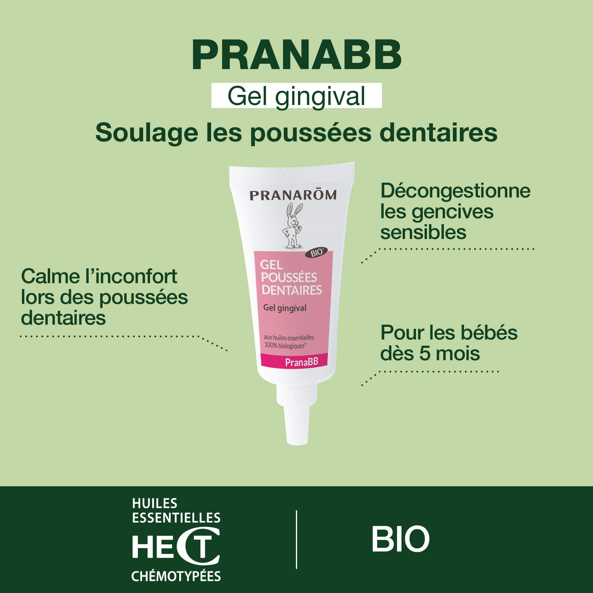 Gel gingival pour poussées dentaires - Bio
