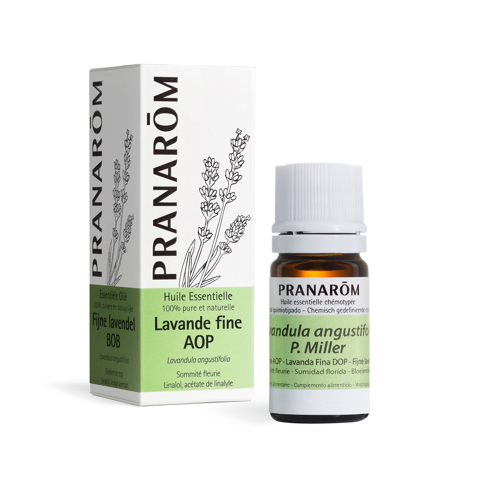 13177-lavande-fine-aop-pranarom-5ml-fr23-5420008521836-01.jpg