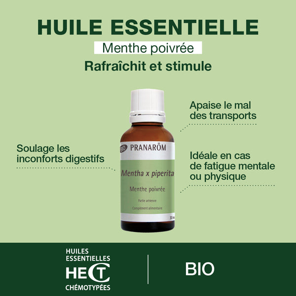 15631-he-menthe-poivree-partie-aerienne-pranarom-30ml-fr24-5420008528149-02.jpg