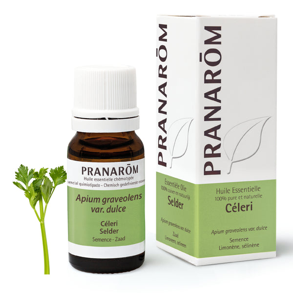 15936-he-frnl20-celeri-selder-10ml-pranarom-01.jpg