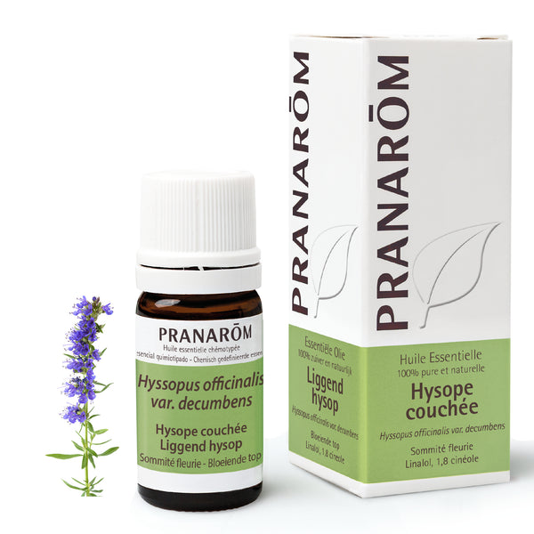 16955-he-frnl20-hysope-couchee-liggend-hysop-5ml-pranarom-01.jpg