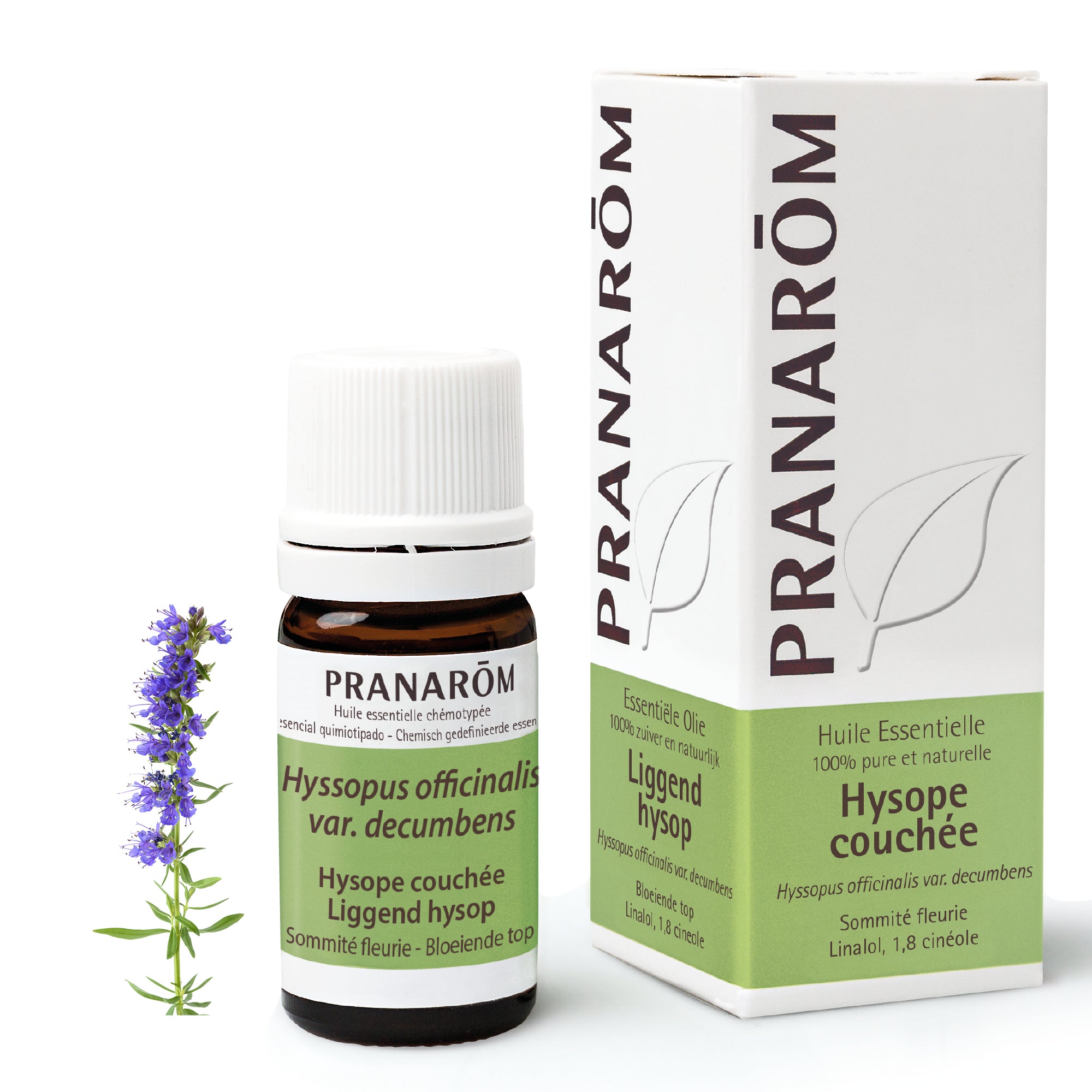 16955-he-frnl20-hysope-couchee-liggend-hysop-5ml-pranarom-01.jpg