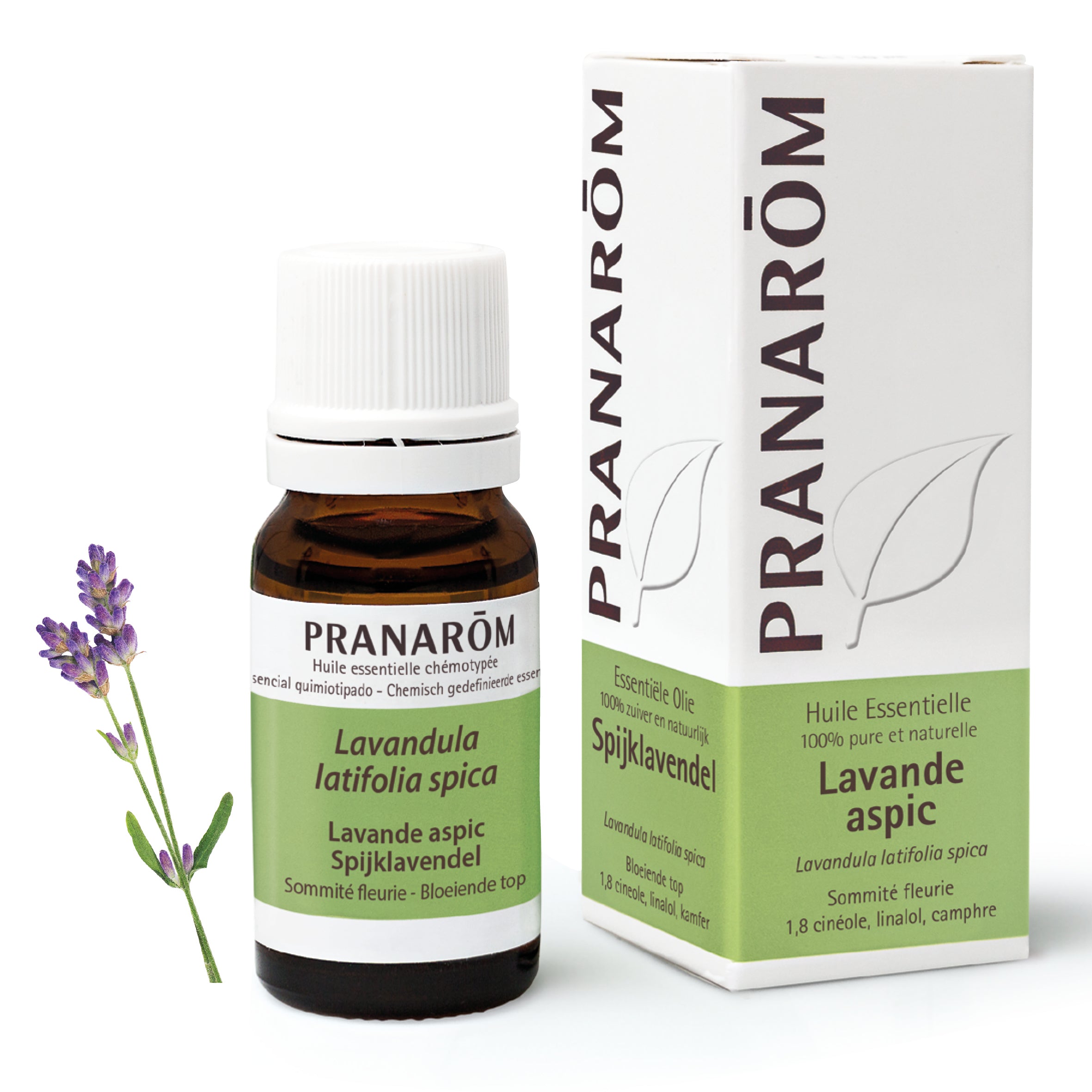 Spike lavender Essential oil