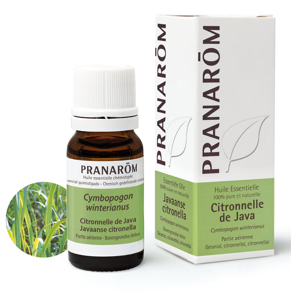 229-he-frnl20-citronnelle-de-java-javaanse-citronella-10ml-pranarom-01.jpg