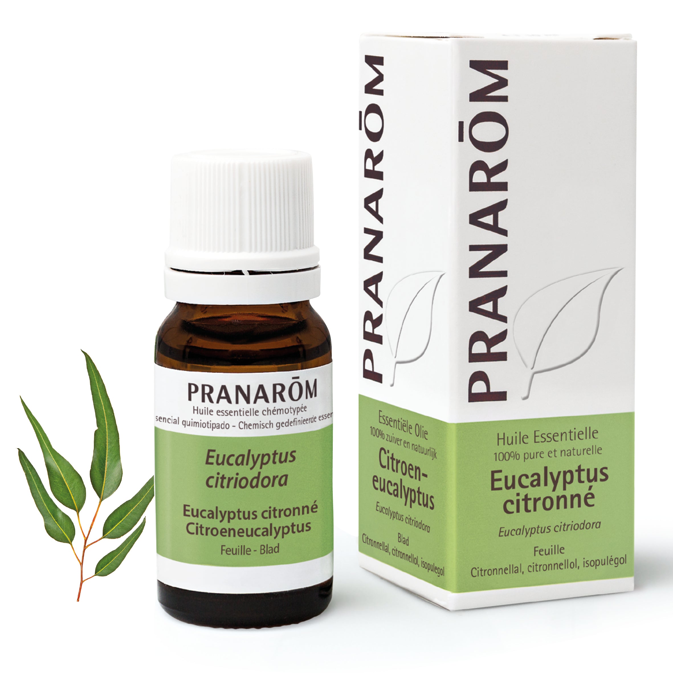 240-he-frnl20-eucalyptus-citronne-citroeneucalyptus-10ml-pranarom-01.jpg