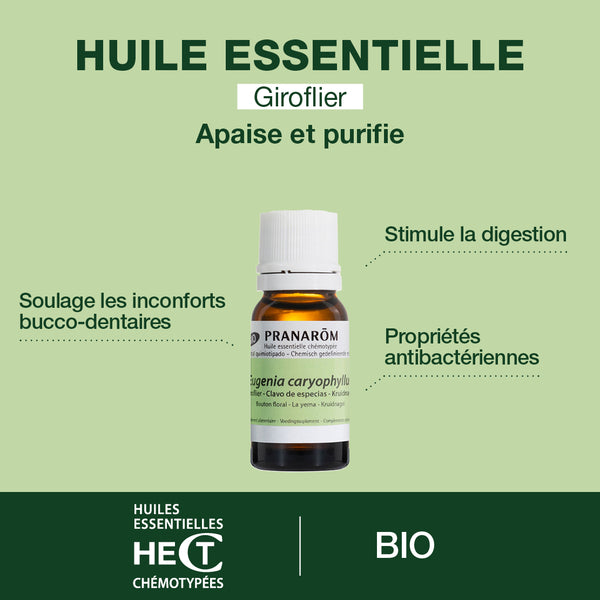 2442-he-giroflier-bouton-floral-pranarom-10ml-fr24-5420008524424-02.jpg