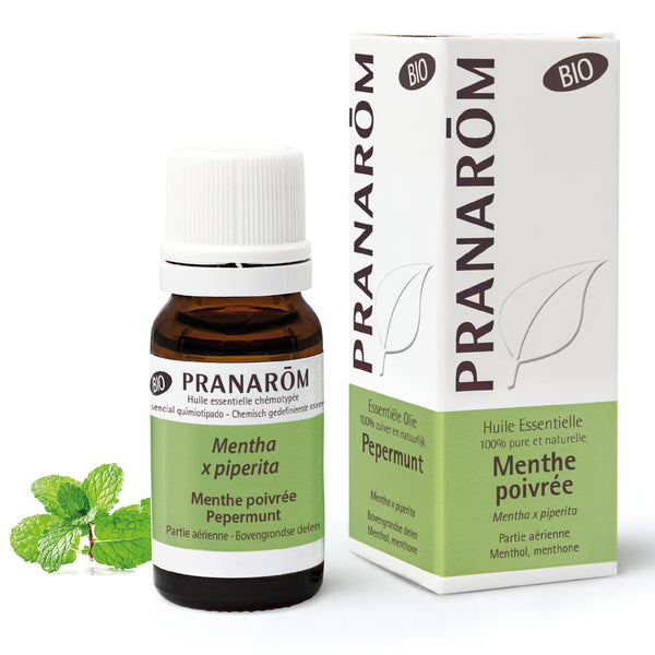 2465-hebio-frnl20-menthe-poivree-pepermunt-10ml-pranarom-01.jpg