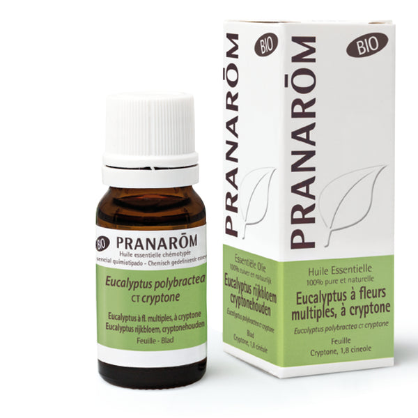 2748-hebio-frnl20-eucalyptus-cryptone-10ml-pranarom-01.jpg