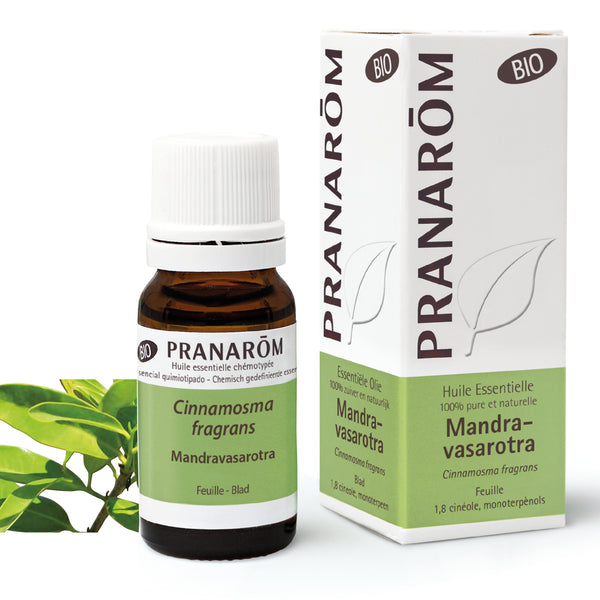 2781-hebio-frnl20-mandravasarotra-10ml-pranarom-01.jpg