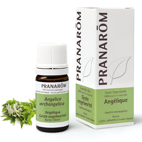 37-he-frnl20-angelique-grote-engelwortel-5ml-pranarom-01.jpg