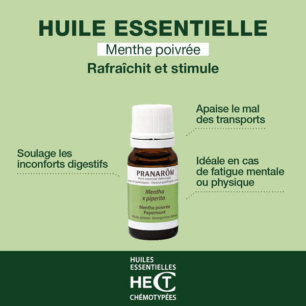 420-he-menthe-poivree-partie-aerienne-pranarom-10ml-fr24-5420008504204-02.jpg