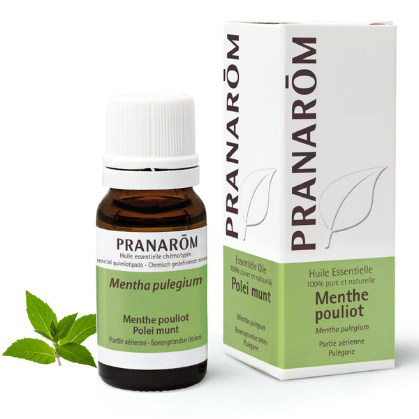 429-he-frnl20-menthe-pouliot-polei-munt-10ml-pranarom-01.jpg
