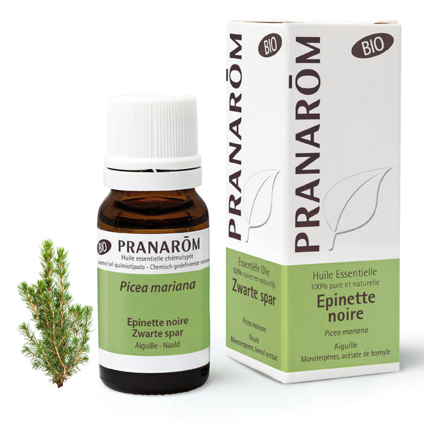 6910-hebio-frnl20-epinette-noire-zwarte-spar-10ml-pranarom-01.jpg