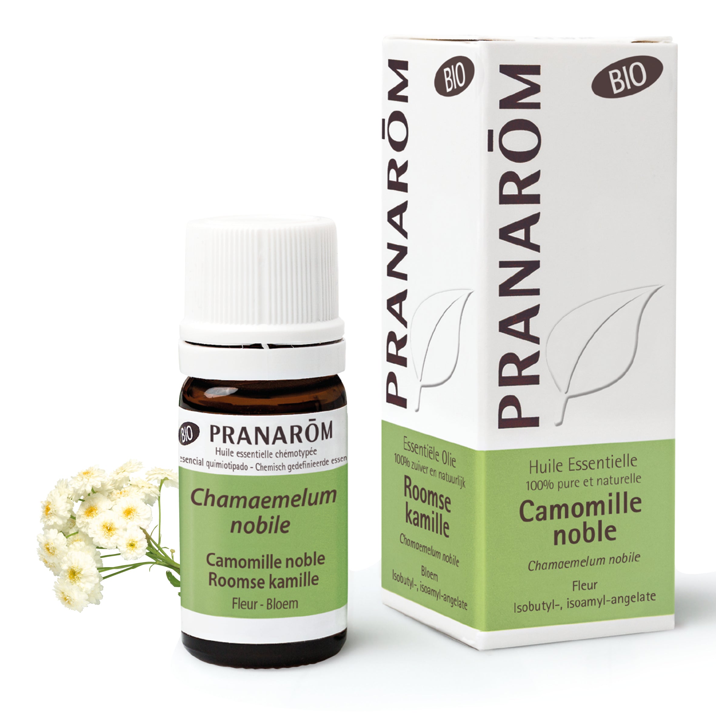 Roman chamomille Essential oil - Bio