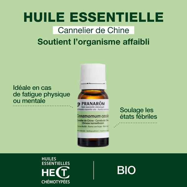 7192-he-cannelier-de-chine-rameau-feuille-pranarom-10ml-fr24-5420008506826-02.jpg