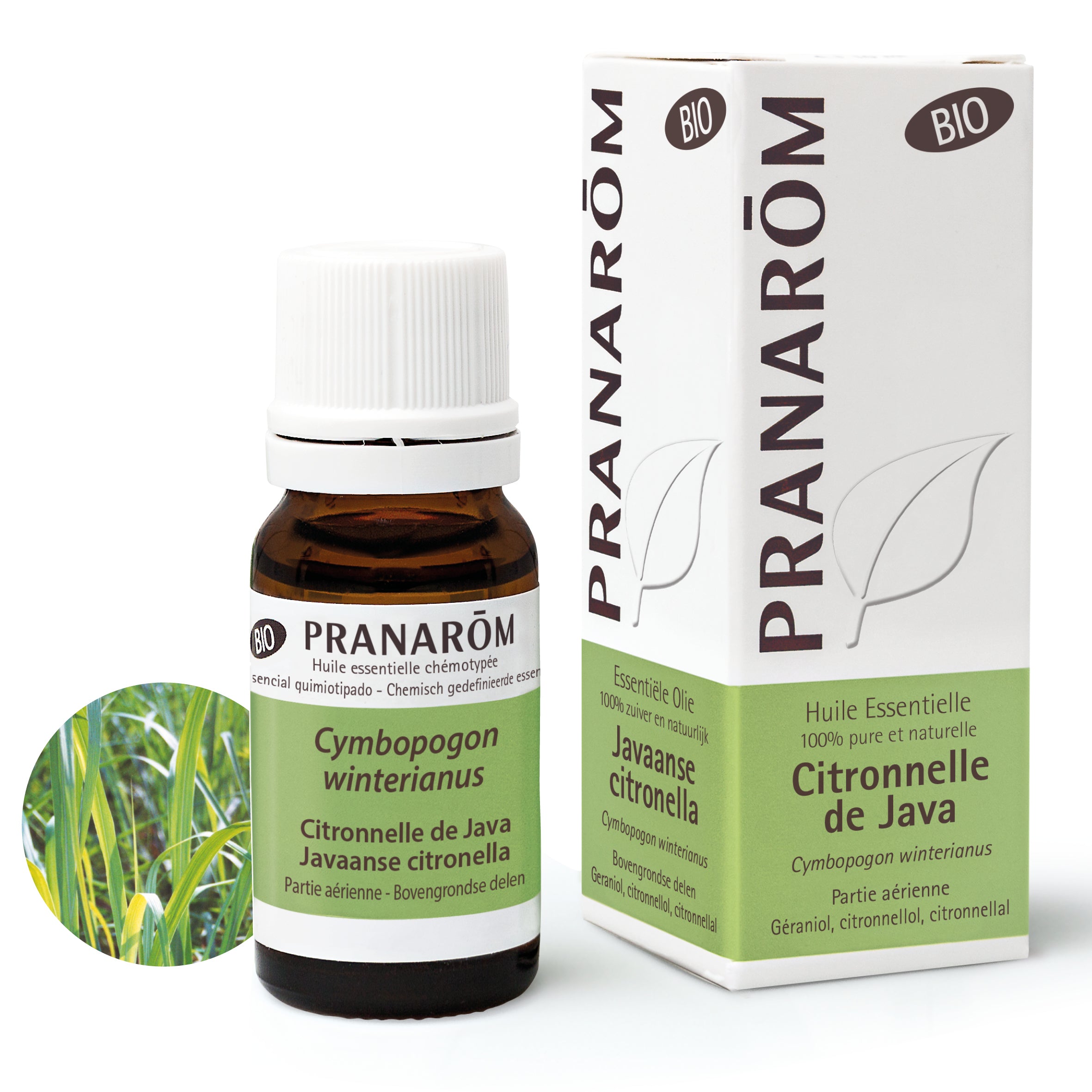7262-hebio-frnl20-citronnelle-de-java-javaanse-citronella-10ml-pranarom-01.jpg
