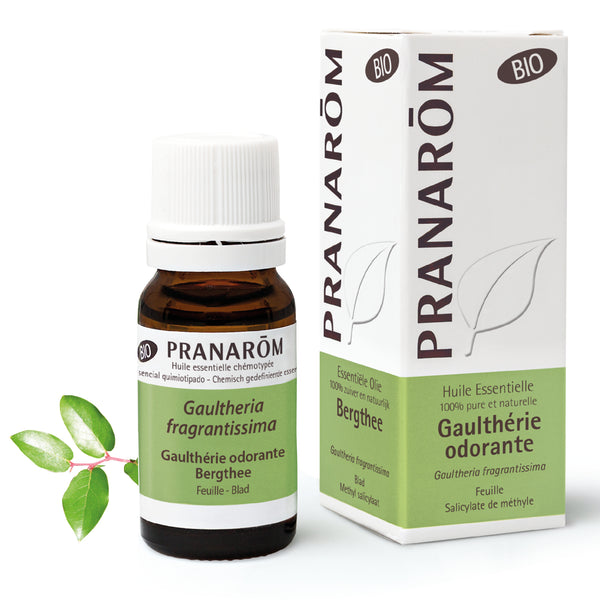 7299-hebio-frnl20-gaultherie-couchee-bergthee-10ml-pranarom-01.jpg