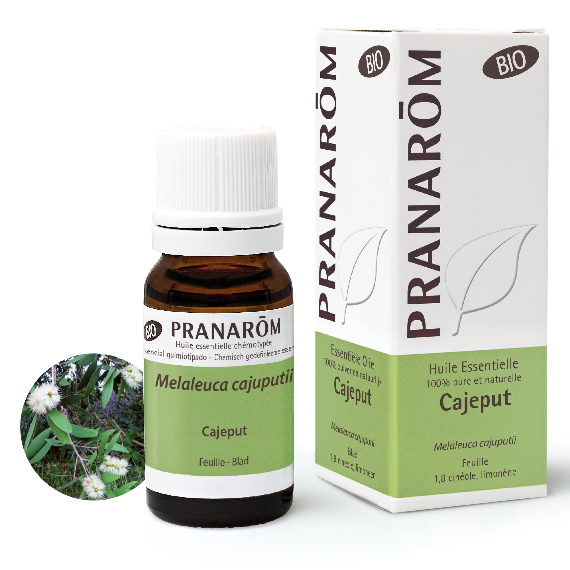 7382-hebio-frnl22-cajeput-10ml-pranarom-01.jpg