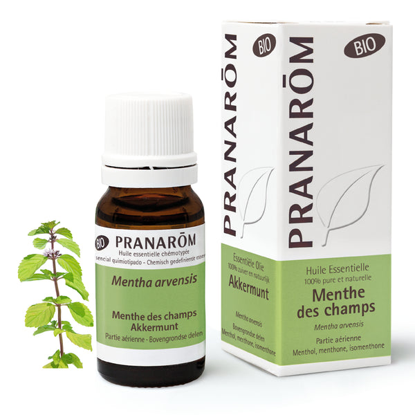 7417-hebio-frnl20-menthe-des-champs-akkermunt-10ml-pranarom-01.jpg