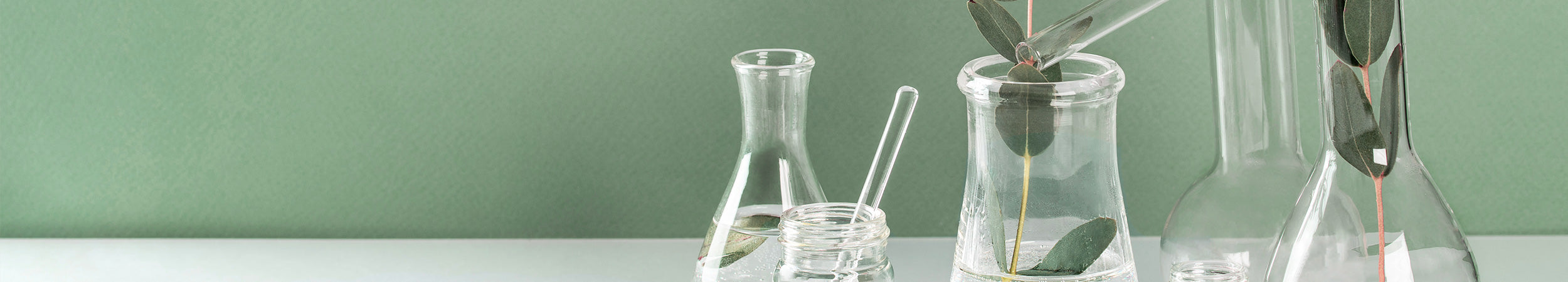 Flacons de verre avec branches d’eucalyptus.
