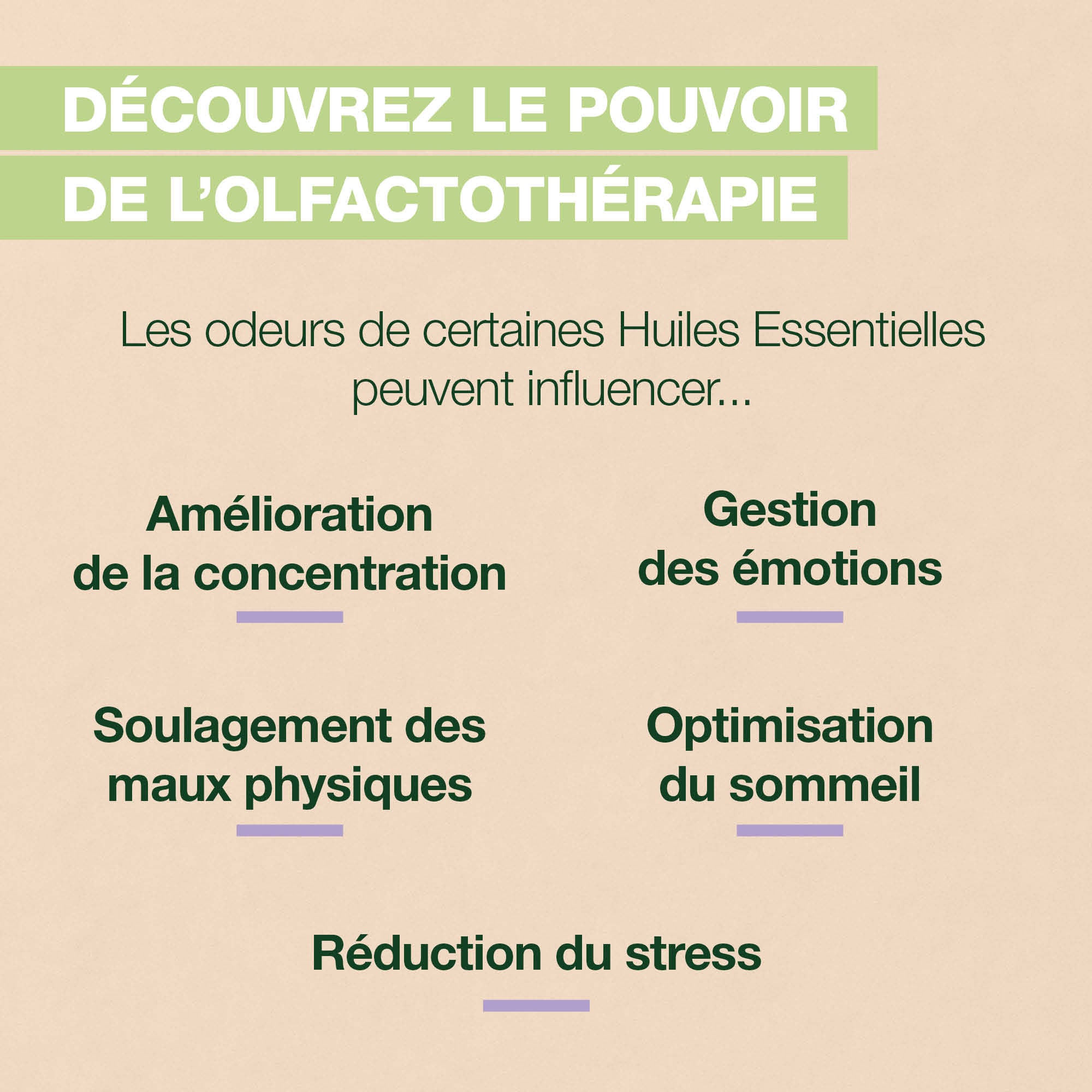 Les différents bienfaits de l'olfactothérapie avec les huiles essentielles.