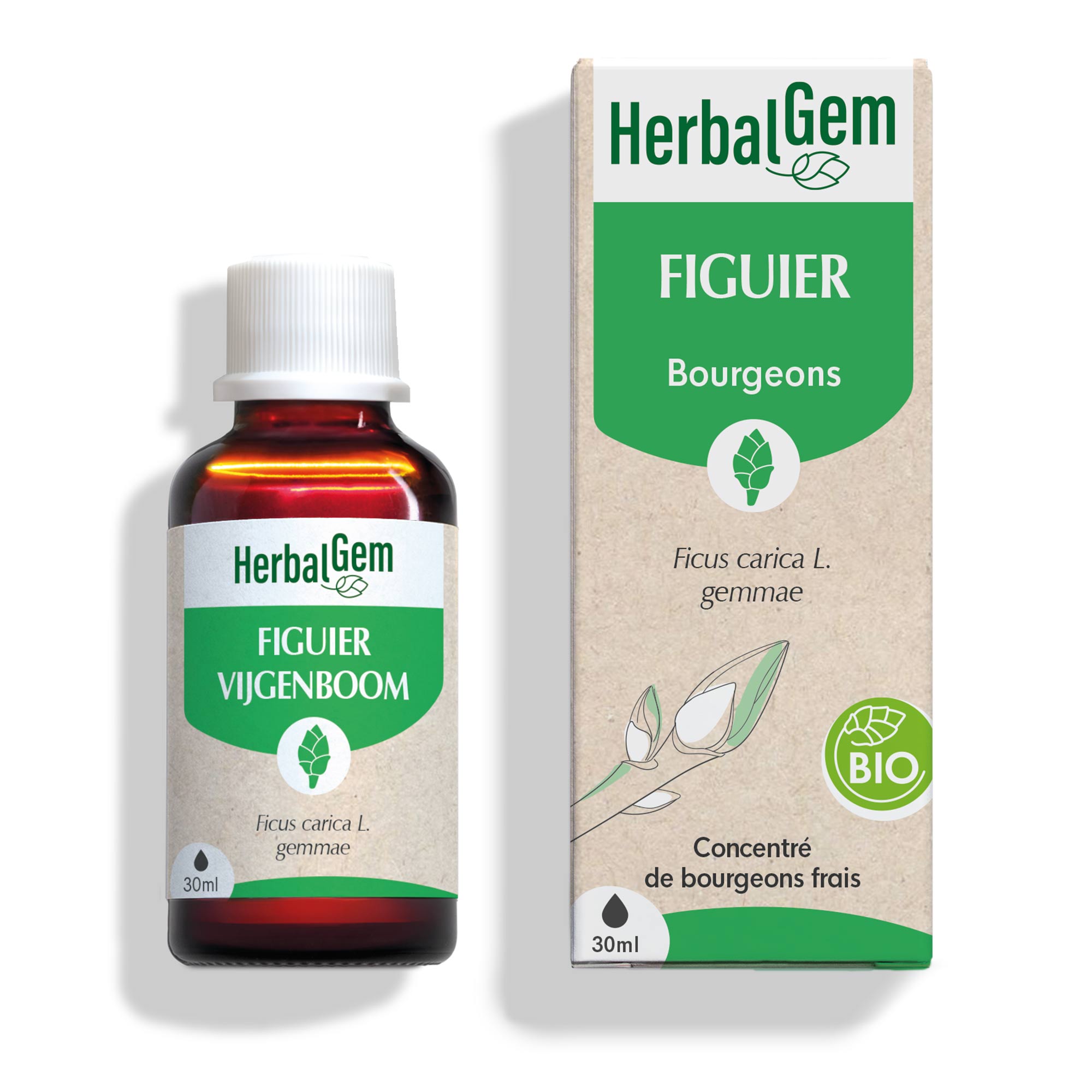 Bourgeon de figuier - Bio