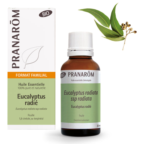 Flacon d'huile essentielle bio d'eucalyptus radié en format familial (30ml) de Pranarôm.