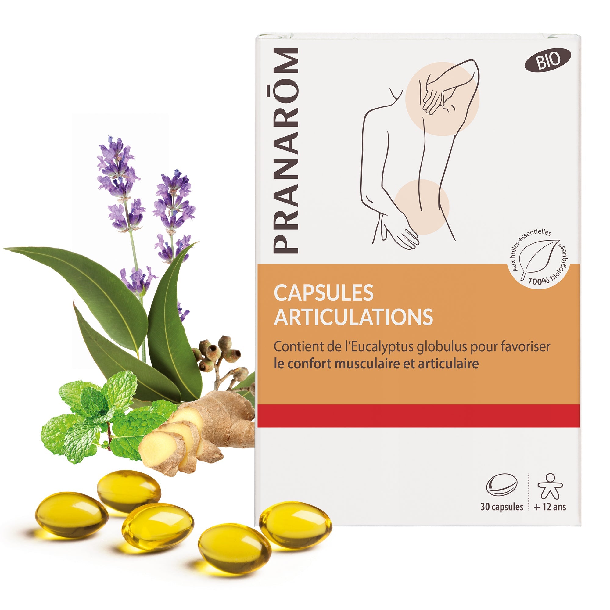 Capsules Articulations - Bio