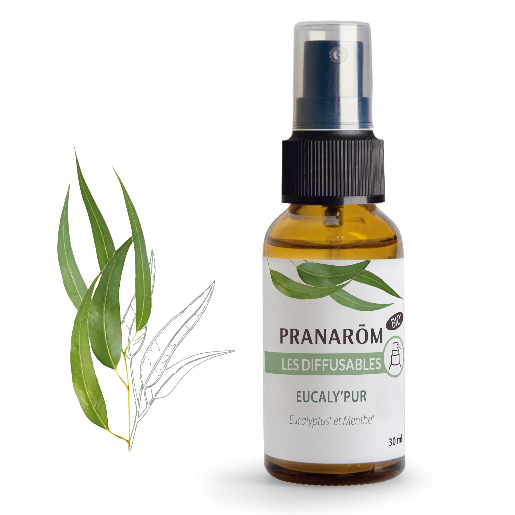 Spray Eucaly’Pur bio 30ml Pranarôm, diffusion d’huiles essentielles eucalyptus et menthe.