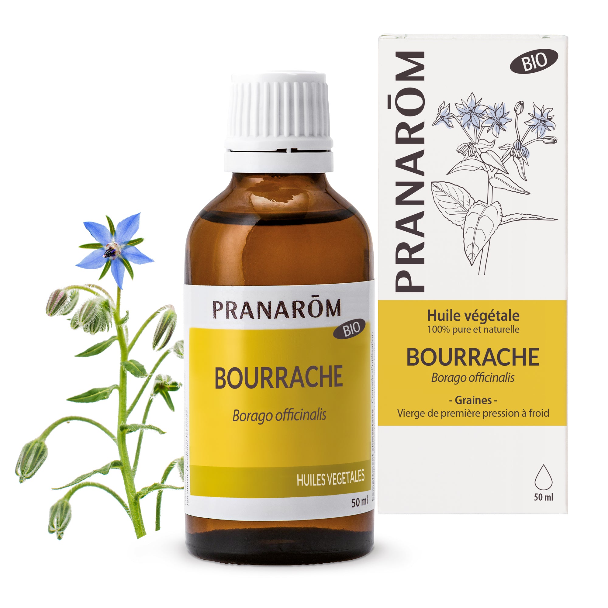Huile végétale bio de bourrache Pranarôm 50ml, pour assouplir et revitaliser.