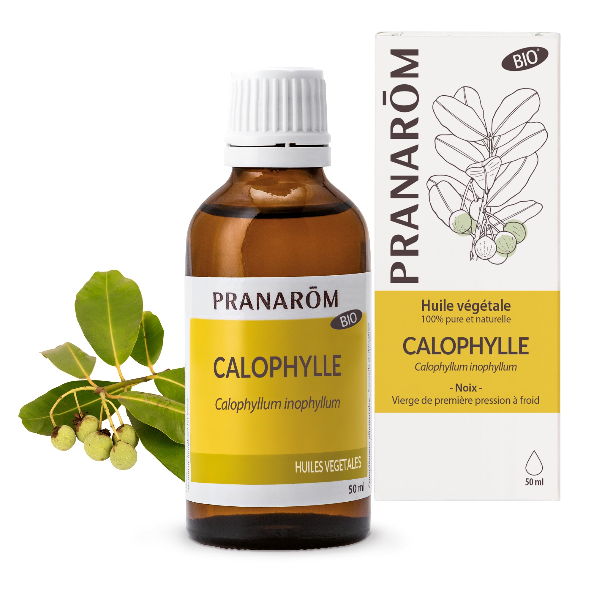 Huile végétale bio de calophylle Pranarôm 50ml, idéale pour la circulation.