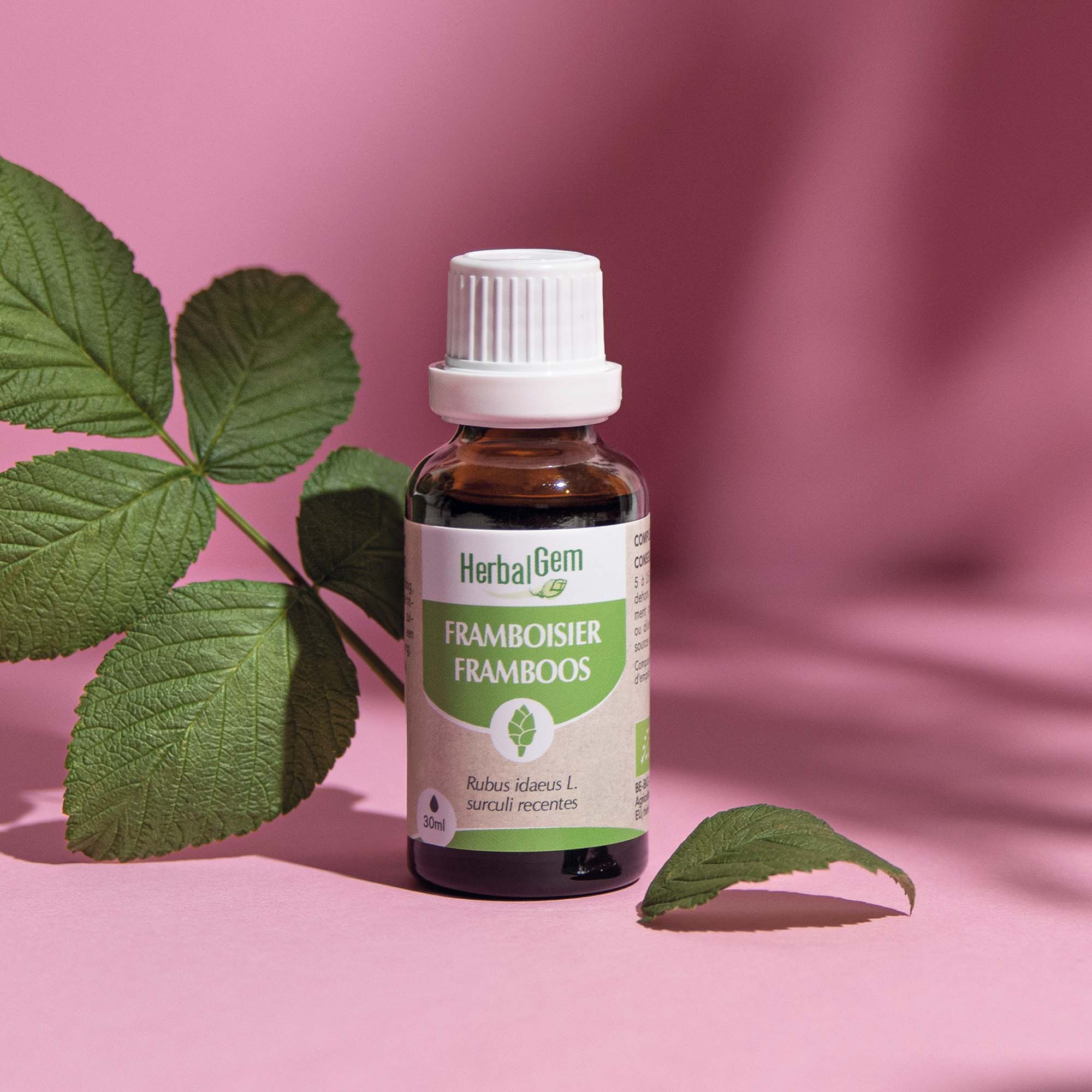 Bourgeon de framboisier bio HerbalGem 30ml, pour l'équilibre féminin.