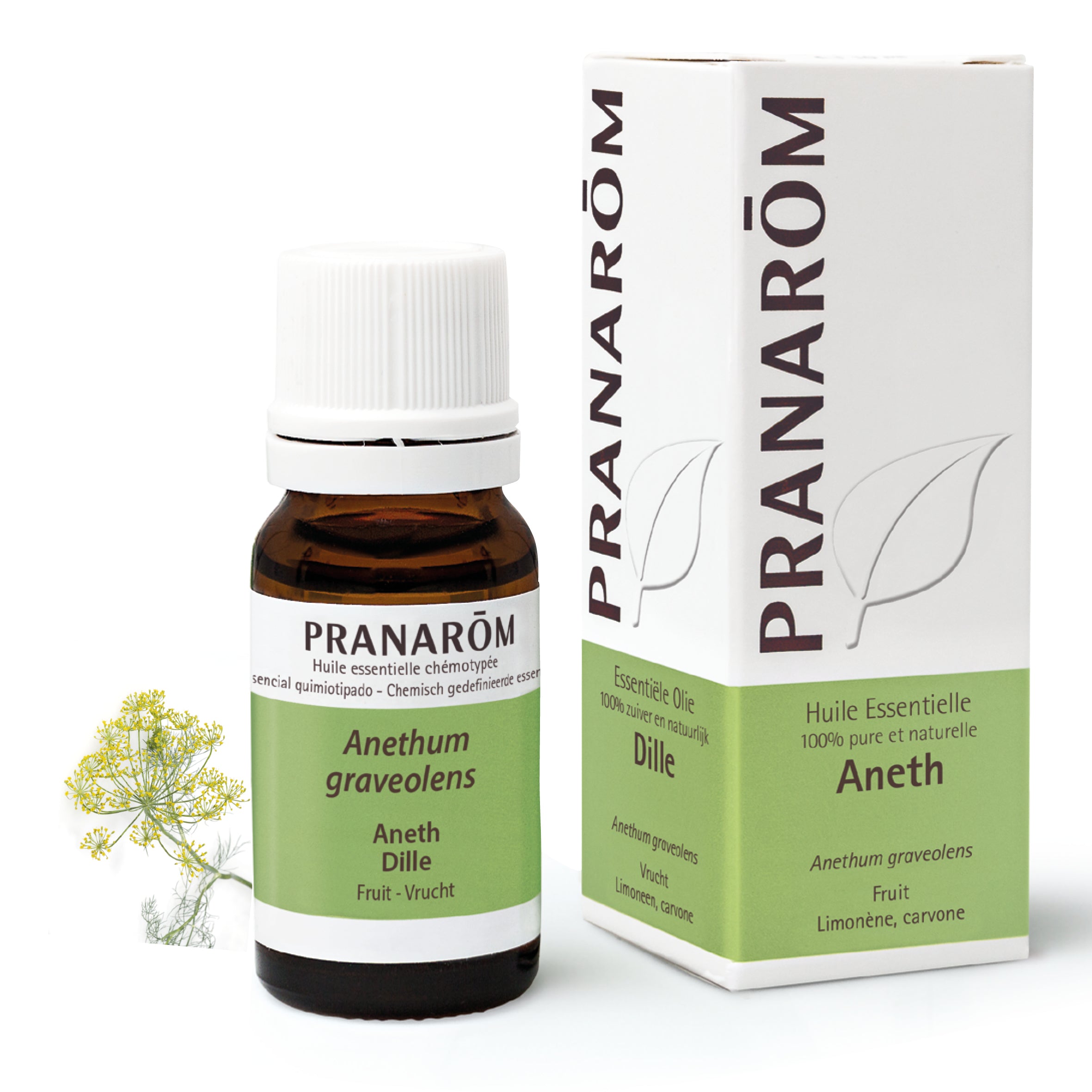 Flacon d'huile essentielle d'aneth de 10ml de Pranarôm.