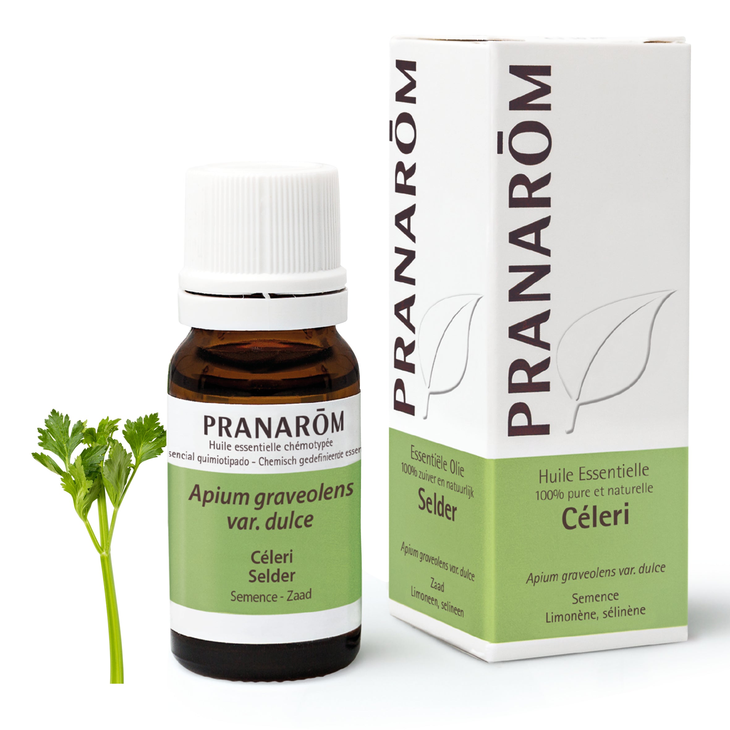 Flacon d'huile essentielle de céleri (10ml) de Pranarôm.