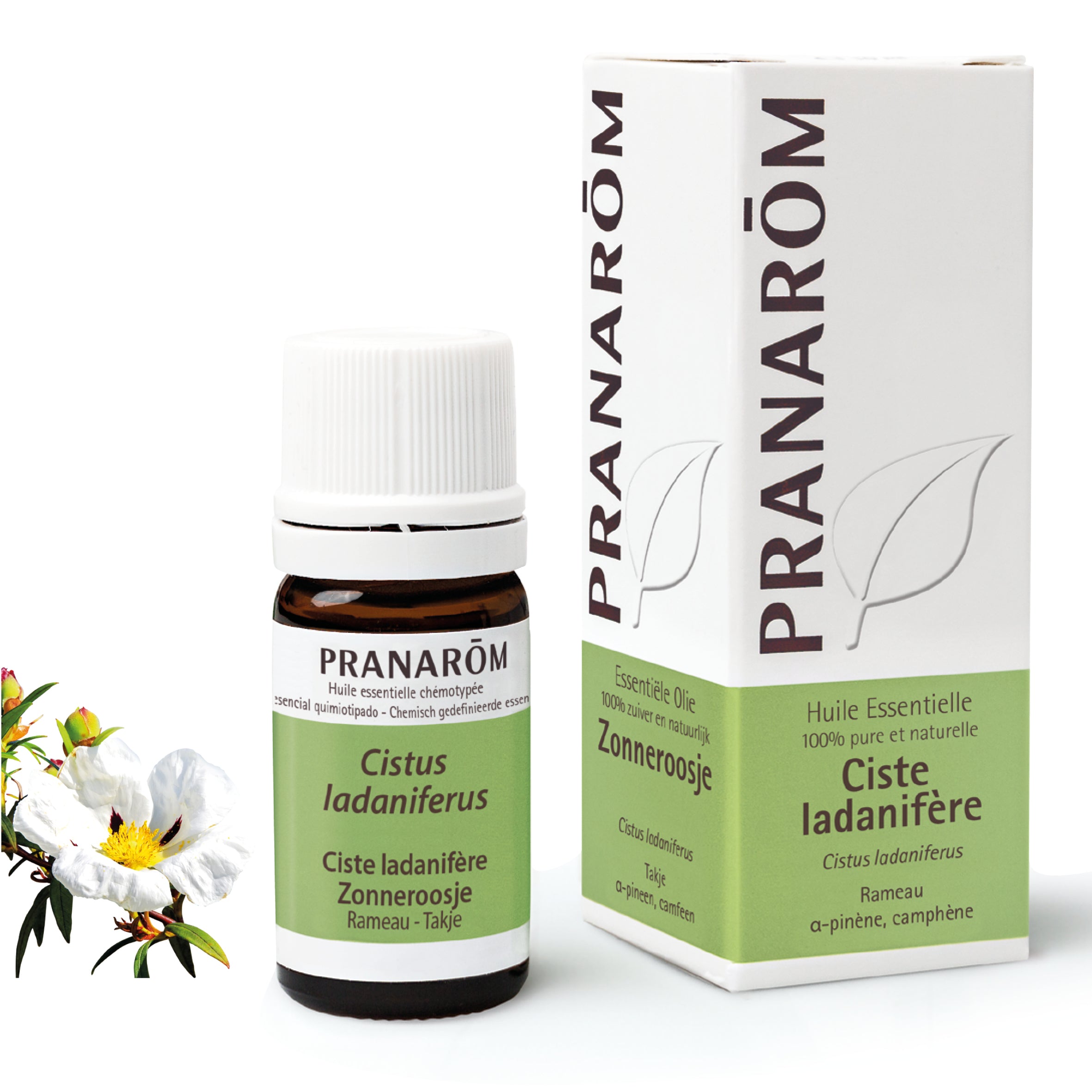 Flacon d'huile essentielle de ciste ladanifère (5ml) de Pranarôm.