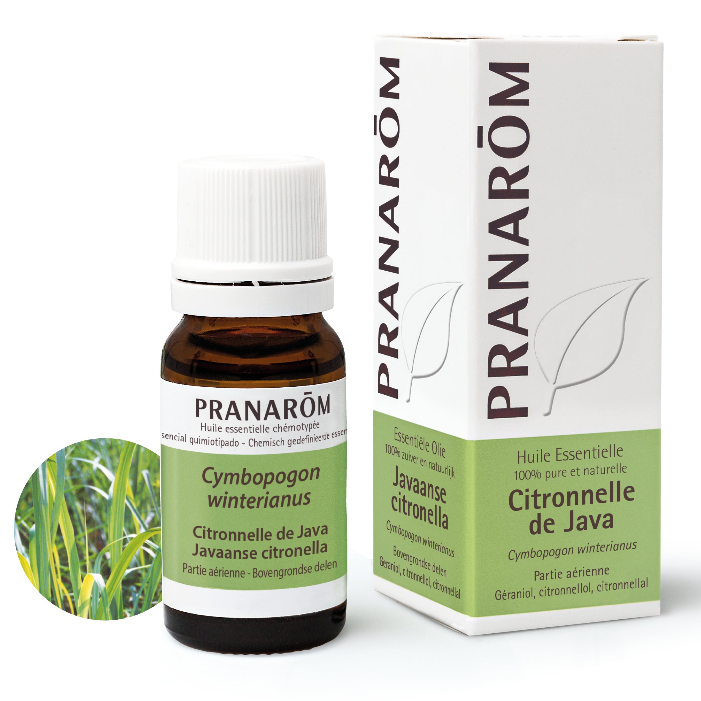 Flacon d'huile essentielle de citronnelle de Java (10ml) de Pranarôm.