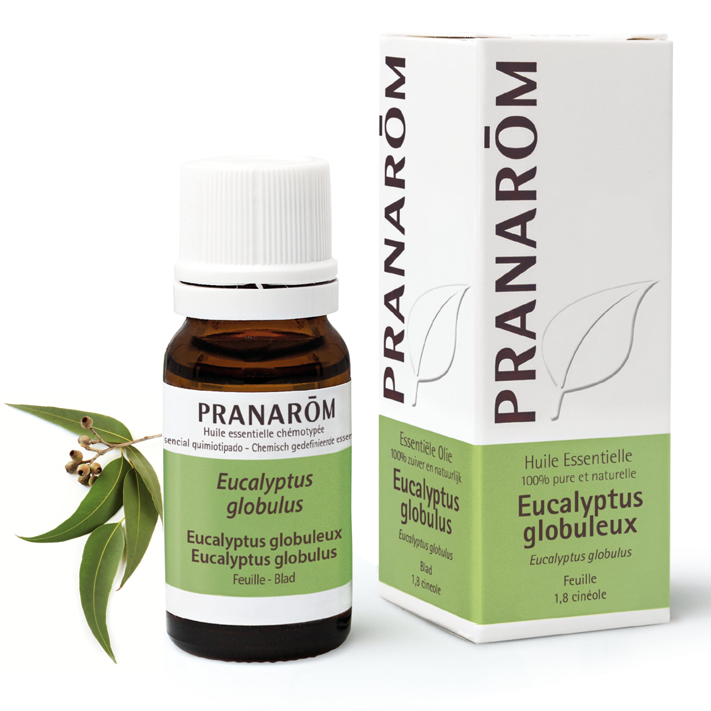 Flacon d'huile essentielle d'eucalyptus globuleux (10ml) de Pranarôm.