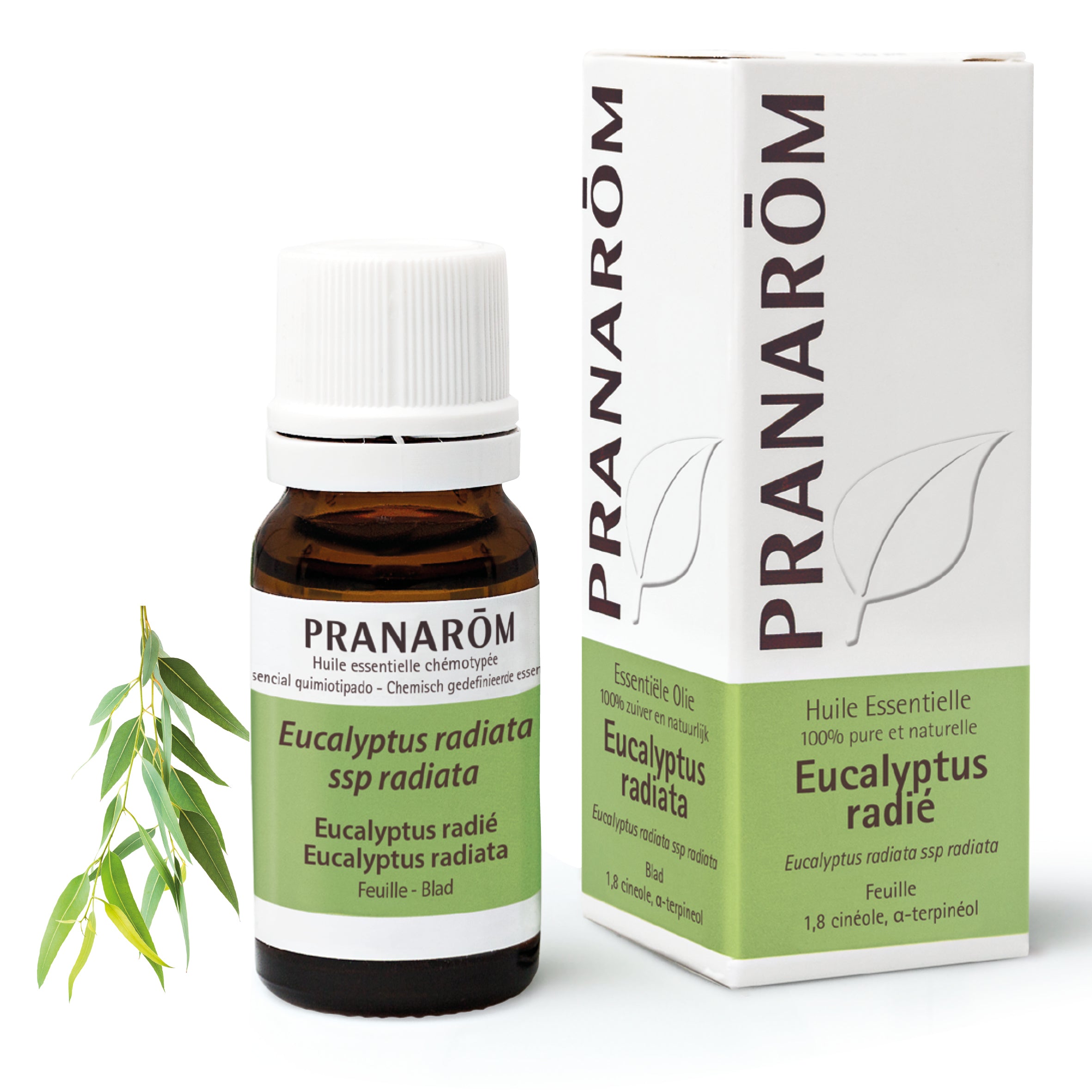 Huile essentielle d’eucalyptus radié bio (10ml), soutien respiratoire 100% pur en aromathérapie. Pranarôm.