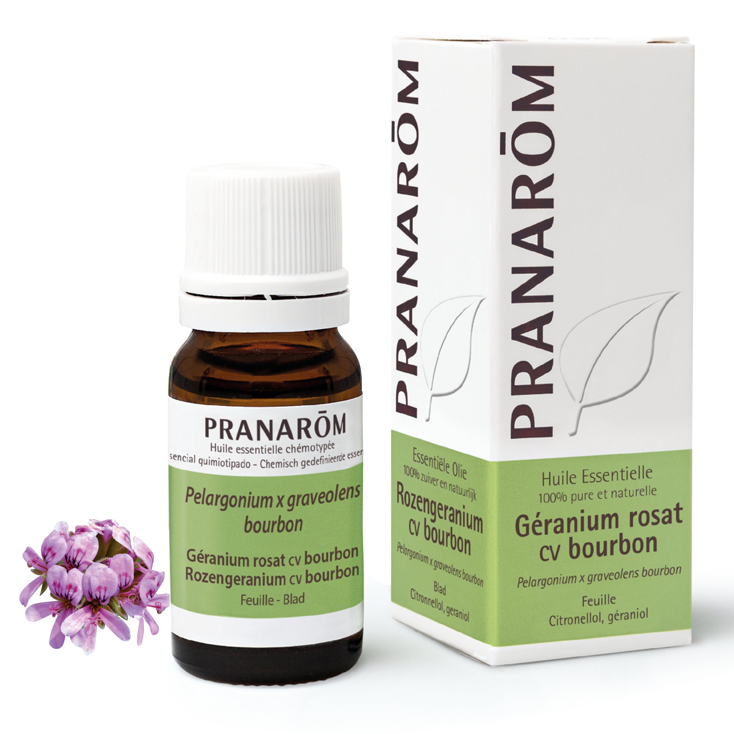 Huile essentielle de géranium rosat bourbon bio (10ml), équilibre cutané et bien-être émotionnel. Pranarôm.