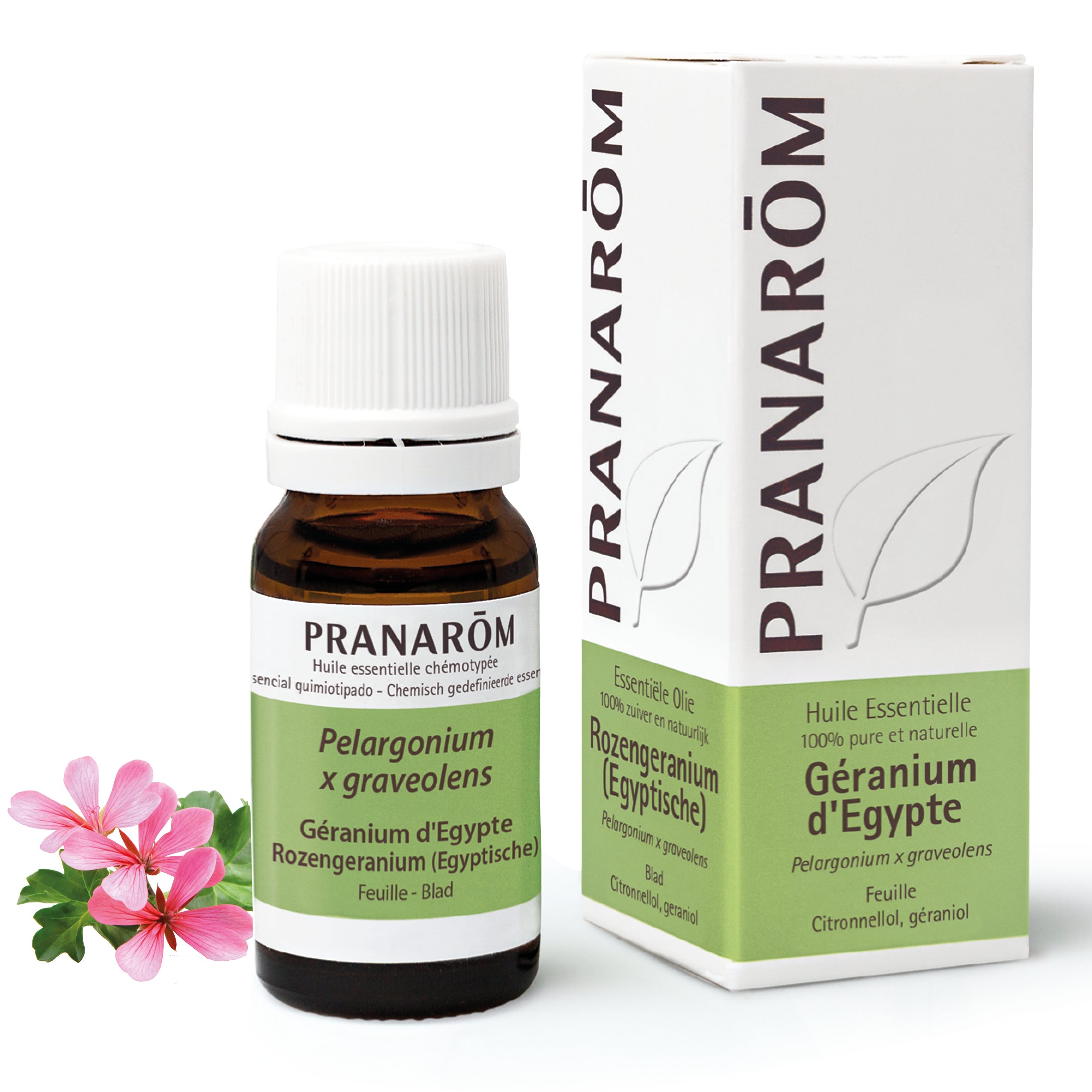 Huile essentielle de géranium d’Égypte (10ml), 100% pure pour peau et harmonie émotionnelle. Pranarôm.