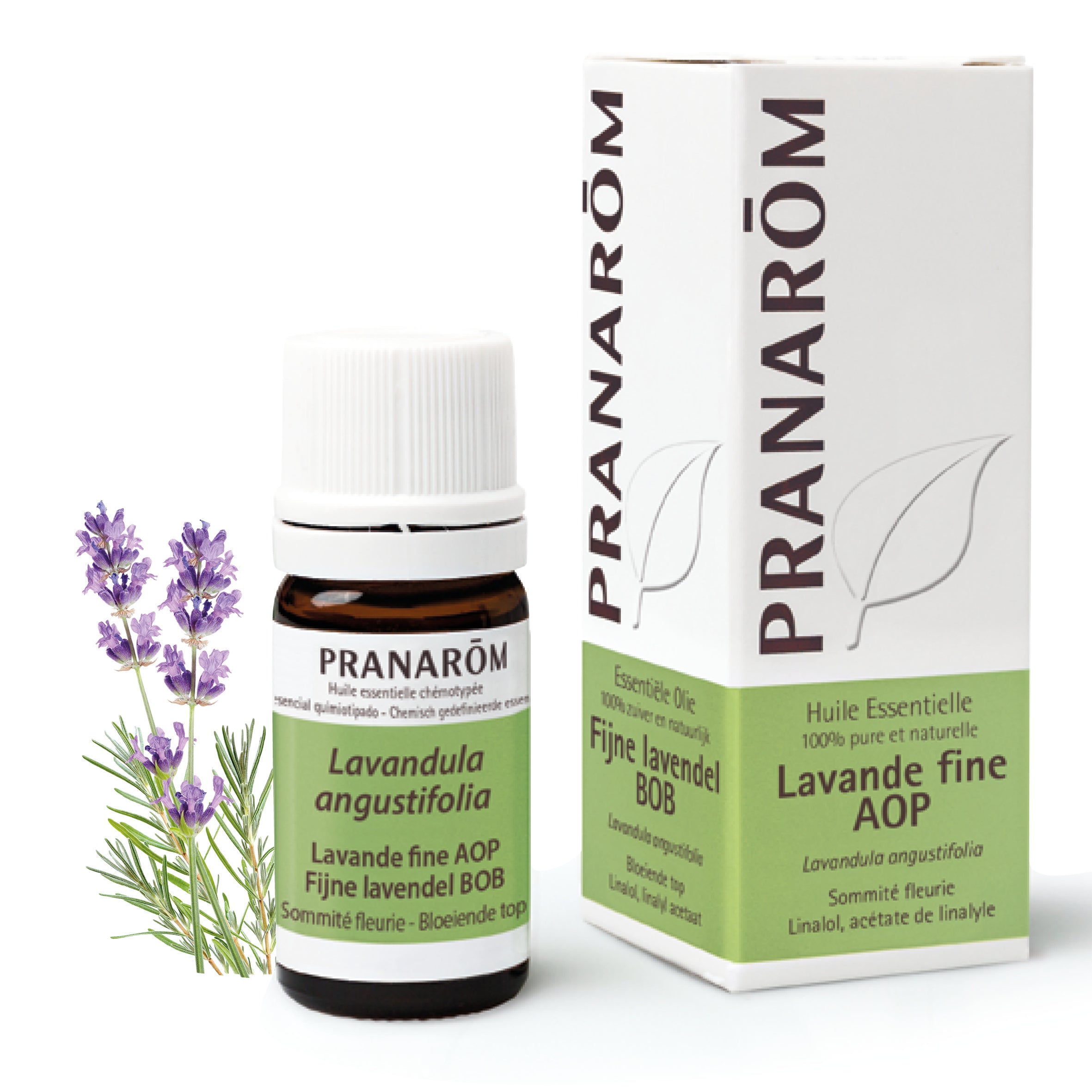 Flacon d'huile essentielle de lavande fine AOP (5ml) de Pranarôm.