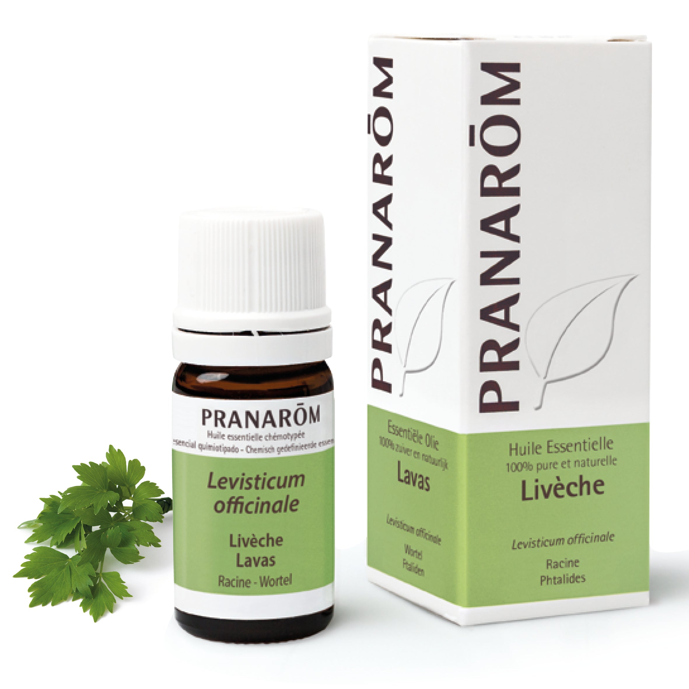 Flacon d'huile essentielle de livèche (5ml) de Pranarôm.