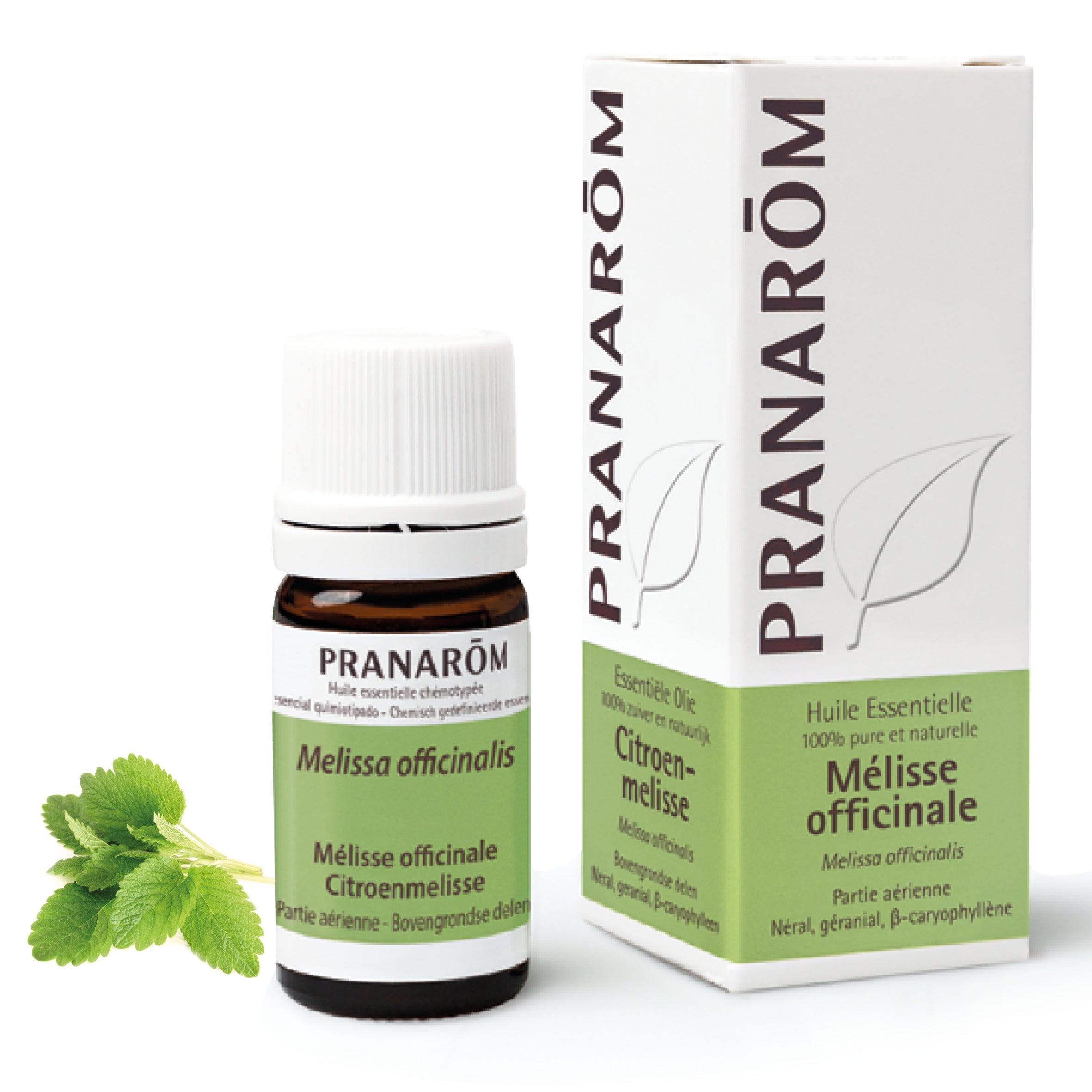 Flacon d'huile essentielle de mélisse officinale (5ml) de Pranarôm.