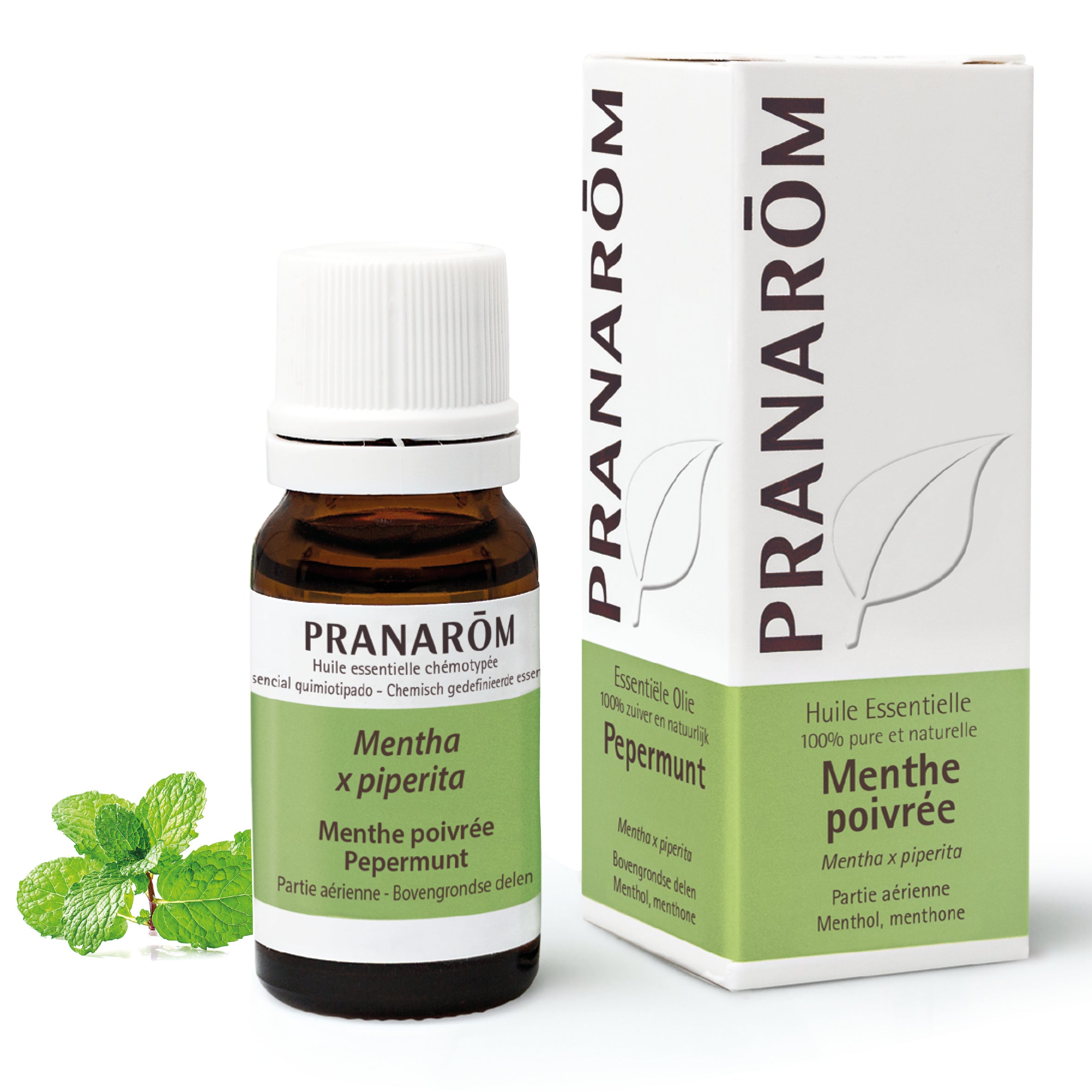 Flacon d'huile essentielle de menthe poivrée (10ml) de Pranarôm.