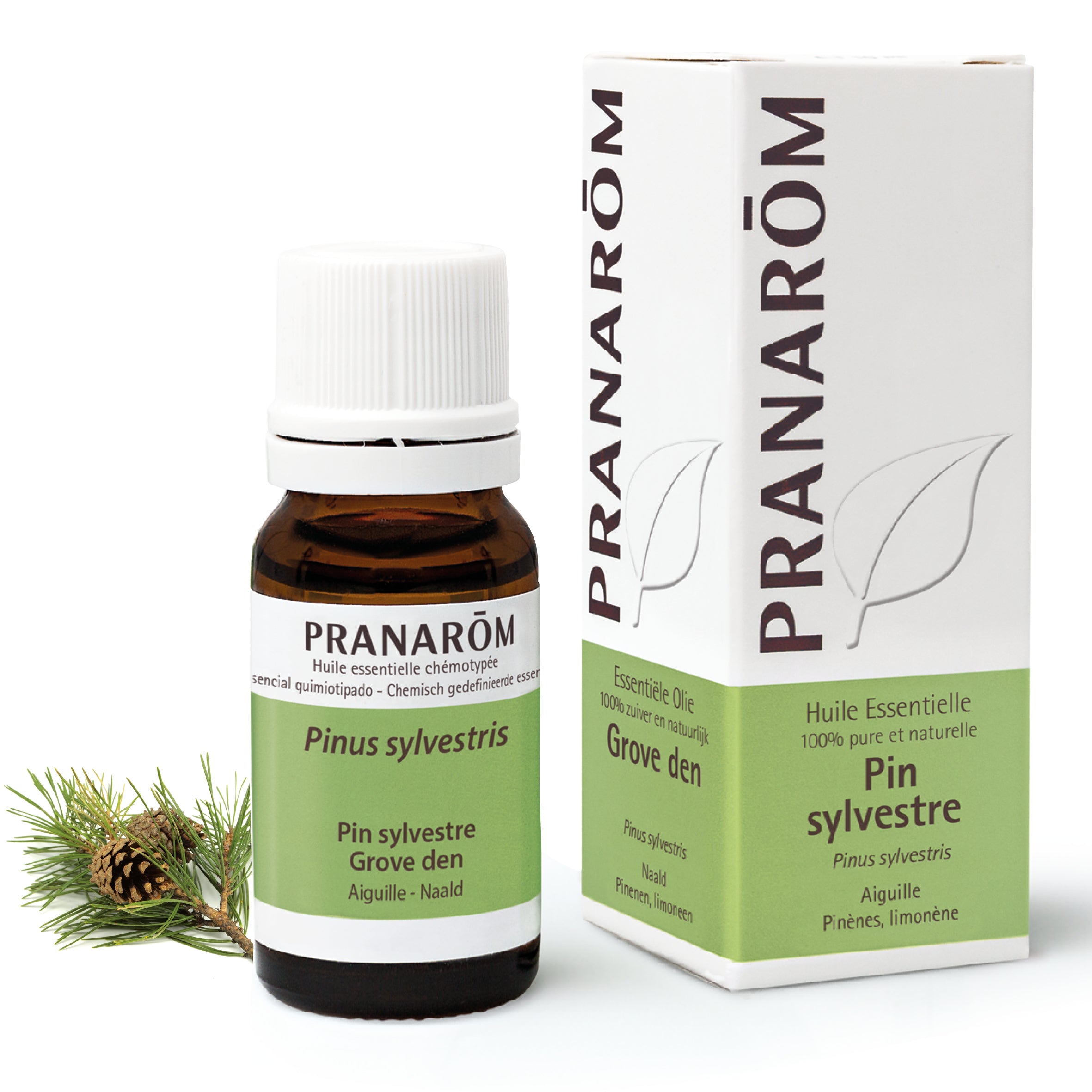 Flacon d'huile essentielle de pin sylvestre (pinus sylvestris), 10ml, de Pranarôm.