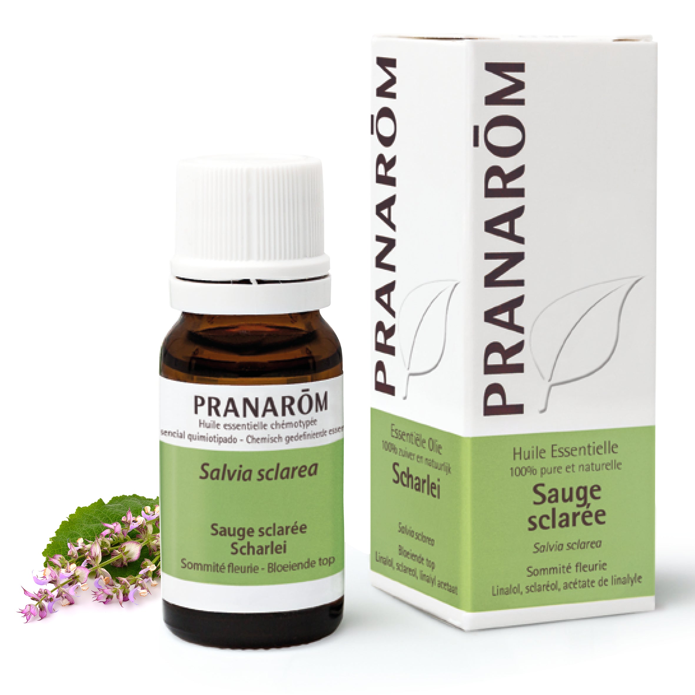 Flacon d'huile essentielle de sauge sclarée (salvia sclarea), 10ml, de Pranarôm.